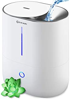 Humidifier Review