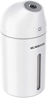 Portable Humidifier Reviews