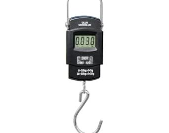 77% Off: GLUN® Electronic Portable Digital LED Screen Luggage Weighing Scale, 50 @ Rs 198