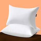 Premium Pillow Pack of 2 349