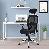 LoootSAVYA HOME Resin Apollo High Back Ergonomic Chair 3295 at Rs 3295
