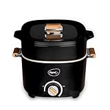 Pigeon Stainless Steel By Stovekraft Everyday Plus MultiCook Kettle1000 Watts25 Litre Used For Boil Brew Cook