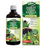Dabur Jamun Neem Karela Juice 1L 167