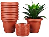 Solimo Round Pots for Plants with Bottom Tray 8 inch Set of 12 Brown