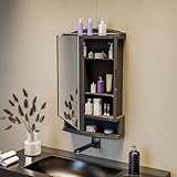 Happer Plastic Premium Multipurpose Wall Mounted Storage Cabinet with Mirror