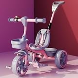 Lifelong Trike Cycle for 25 Years Tricycles for Boy Girl