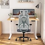 CELLBELL C190 Berlin Office Chair 4796