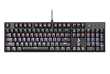 TAG Gamerz Illume 20 Mechanical Gaming Keyboard 25 AntiGhosting Keys Double Injection Keycaps Rainbow RGB LED 16 Lighting Modes 50 Million Keystrokes Windows Lock Key for PC Desktop Gamers
