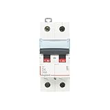 Legrand D DP D4A AC MCB