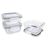 Signoraware Safe N Store Glass Square Container at 622
