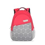 Lavie Sport backpack29 litres at Rs449
