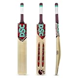 Lowest DSC Fire Kashmir Willow Cricket Bat 1258