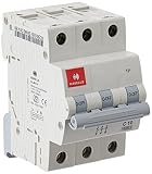 Havells DHMGCTPF010 PVC Plastic 10A MCB TP C Curve White