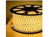 PHILIPS Mini Marathon LED Rope Light with Connector 20 Meter IP 65 WaterProof Strip Light with 400 lumensMeter Warm White Pack of 1