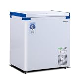 Frigoglass 230L Hard Top Freezer with Single Door and Convertible Design