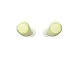 Sony WFC510 Wireless Bluetooth Earbuds 2389