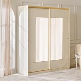 Home Engineered Wood 2Door Sliding Wardrobe with Mirror at 62049 effective