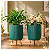 Eightiz Store Modern Green Flower Pot 399
